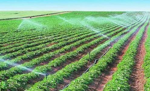嫩逼免费看农田高 效节水灌溉